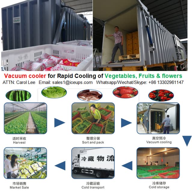 Vacuum Coolers Play A Very Important Role in Cropsprocessing